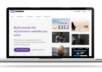 15 KEY WOOCOMMERCE STATISTICS YOU NEED TO KNOW IN 2024 2024