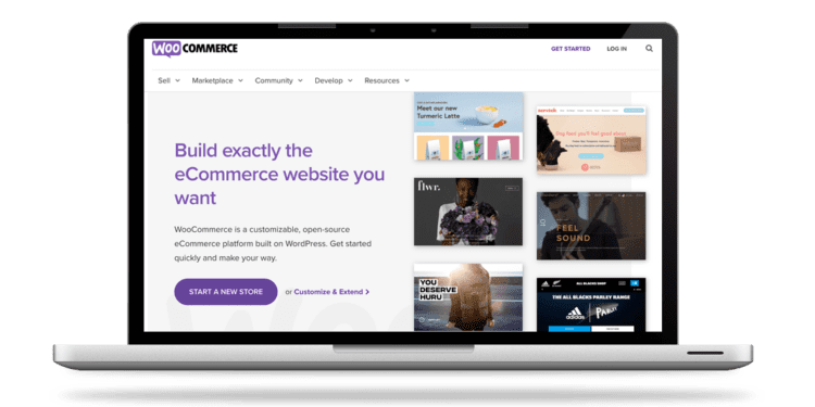 15 KEY WOOCOMMERCE STATISTICS YOU NEED TO KNOW IN 2024 2024