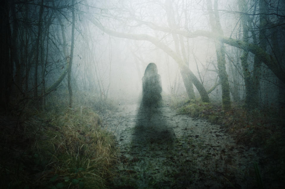 A shadowy figure stands on a misty forest path surrounded by twisted trees and overgrown vegetation