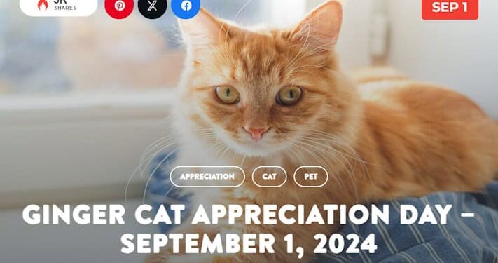 A Ginger Cat Named Stubbs Was Elected Mayor Of The Town Of Talkeetna, Alaska. He Served For 19 Years