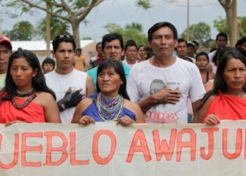 38 Amazonian indigenous leaders murdered in Peru from 2013 to 2024