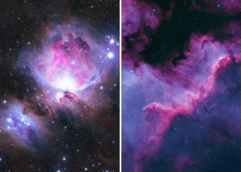 Teen Captures Jaw-Dropping Photo of North America Nebula From His Backyard