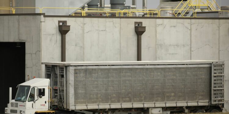 Meet the Immigrant Workers Taking on America’s Largest Meatpacking Company