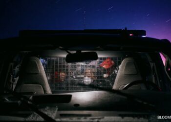 How Luck Often Trumps Justice In US Immigration System