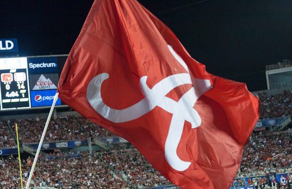 Alabama DEI ban just like putting up ‘straight, white only’ sign: columnist