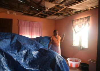 Female farmers in Jamaica rebuild in Hurricane Beryl’s wake