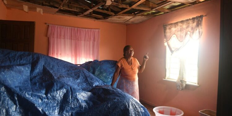 Female farmers in Jamaica rebuild in Hurricane Beryl’s wake