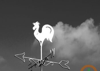 Not likely to stay dry in Brazil and Argentina