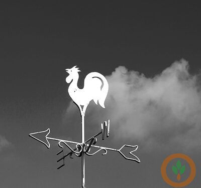 Not likely to stay dry in Brazil and Argentina