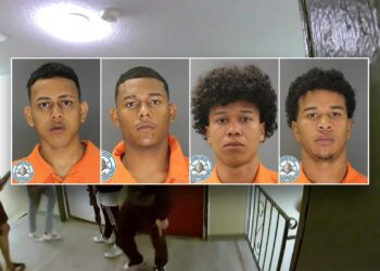 ICE confirms Aurora, Colorado gang members are in the United States illegally, released by Biden admin