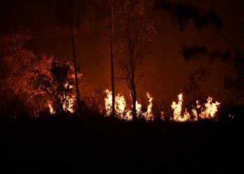 Bolivia triggers national emergency for ongoing wildfires