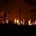 Bolivia triggers national emergency for ongoing wildfires