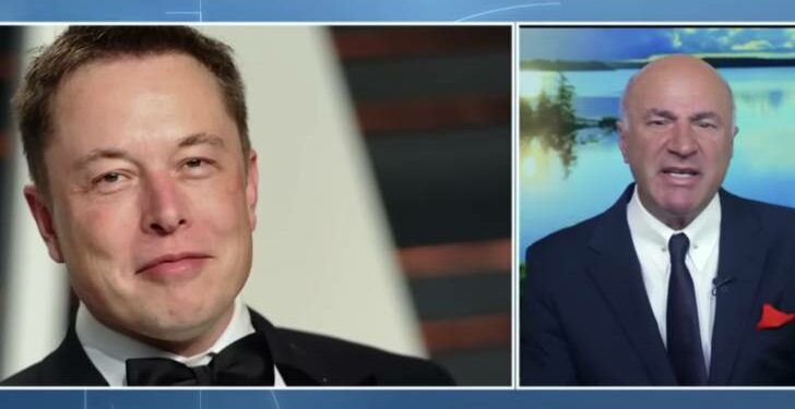 Kevin O’Leary issues warning to Brazil president for banning X — praises Elon Musk as a ‘modern day Bruce Wayne