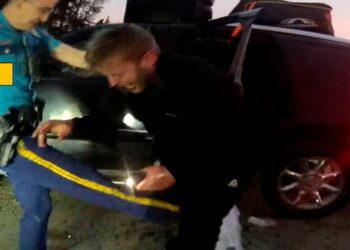 2 Alaska troopers charged in brutal arrest of wrong man hit with stun gun, bitten by police dog