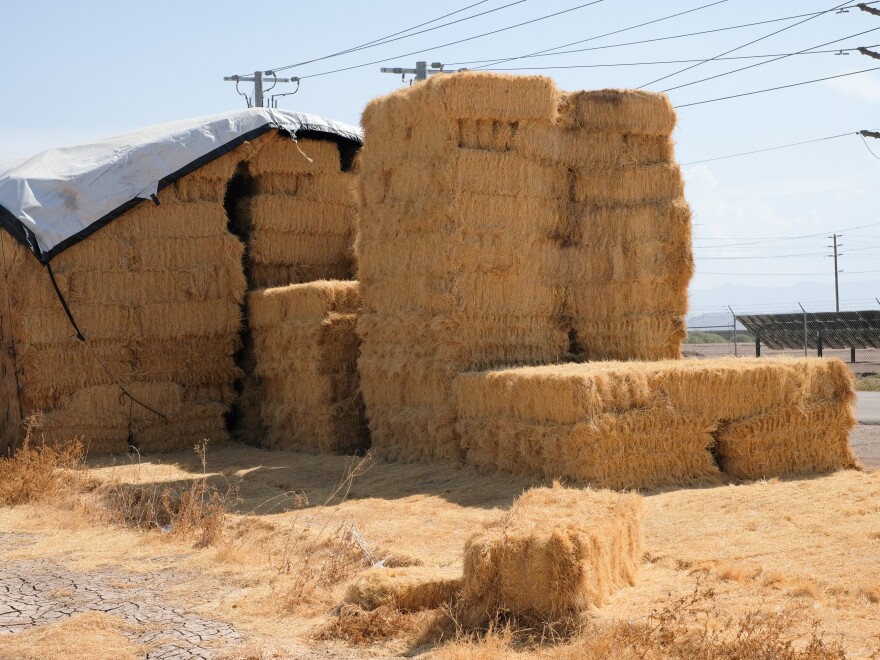 Hay grown from Colorado River water in the Imperial Valley. In the background is a farm field converted to solar panels. Taking farmland out of production for solar panels is a growing trend in the Imperial Valley to save water and generate clean power for cities. But many farmers say the strategy hurts the local economy.