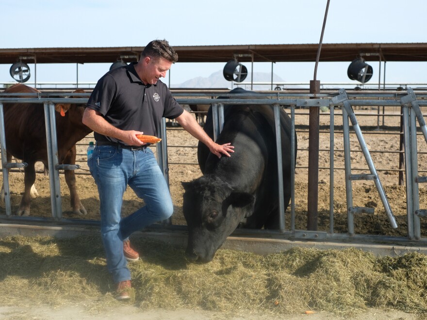 Eric Brandt runs a 125-acre organic beef ranch near El Centro in the Imperial Valley. He’s part of one of the region’s largest farming families, which receives significant allocations of Colorado River water. He says farmers and ranchers in the region are becoming increasingly efficient at using less water.