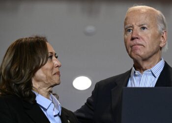 Biden-Harris spurned offers from Latin American leaders to help close the border