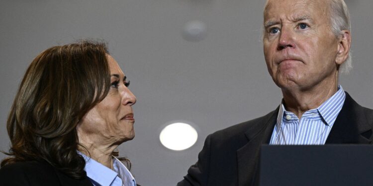 Biden-Harris spurned offers from Latin American leaders to help close the border