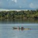 Report links killings to environmental crimes in Peru’s Amazon