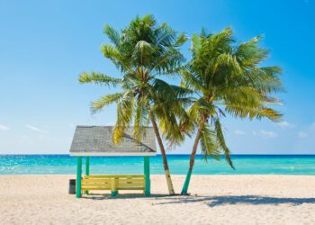 Cayman Islands Travel Guide, News and Information