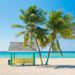Cayman Islands Travel Guide, News and Information
