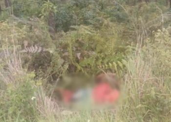 Encuentran cadáver encostalado a la altura de Zambrano, Honduras