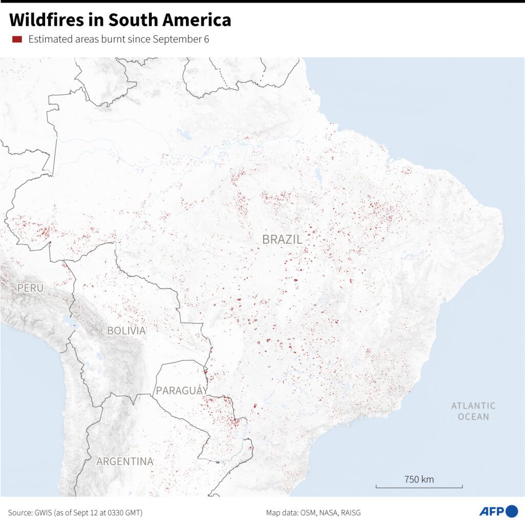 Wildfires In South America | Barron's