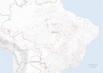 Wildfires In South America | Barron's