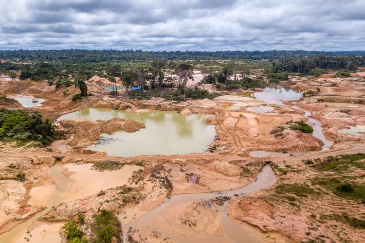 Aerial view of deforested area of the Amazon rainforest caused by illegal mining activities in Brazil.