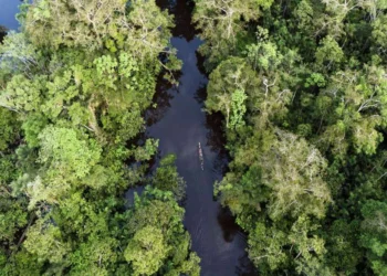 Ecuador's Amazon under siege by illegal mining & crime, report finds