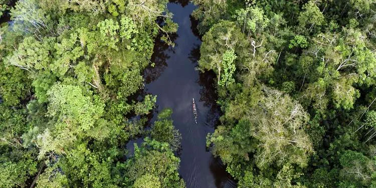 Ecuador's Amazon under siege by illegal mining & crime, report finds