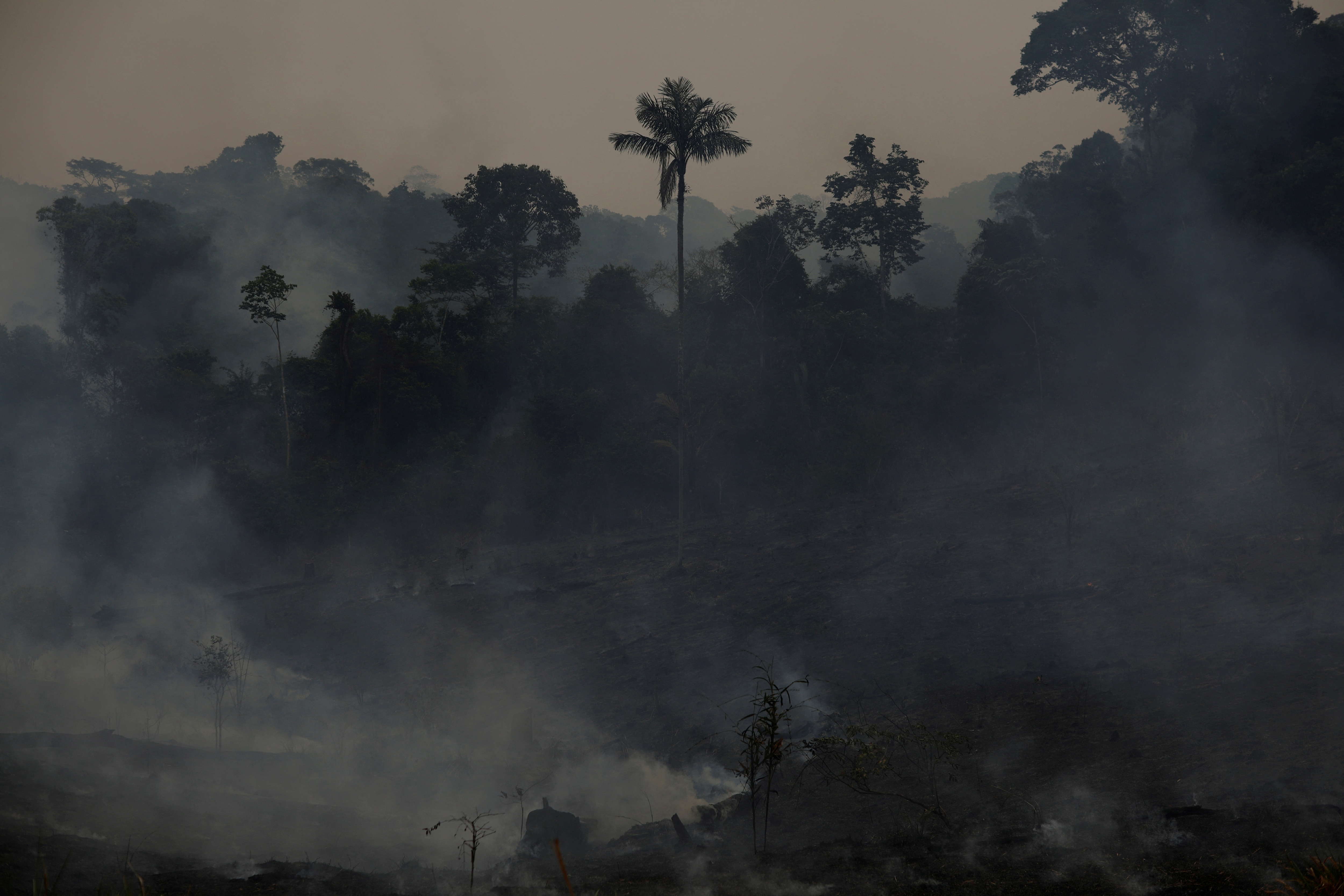 Smoke from a fire rises into the air in Amazon rainforest in the Apui, Amazonas state, Brazil.