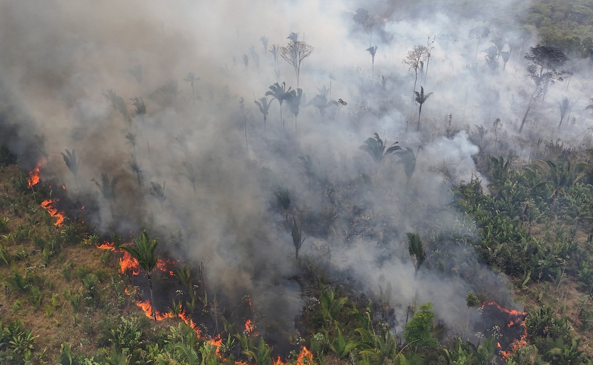 Drone view shows smoke rising from a forest fire in the Amazon in the Trans-Amazonian Highway BR230 in Brazil.