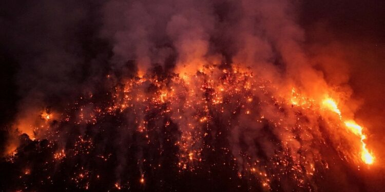 Pics: A Continent Ablaze - South America Surpasses Record For Forest Fires