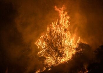 See how wildfire is spreading in California