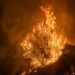 See how wildfire is spreading in California