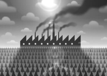 Suriname wants to get paid for protecting its forests, but will it work?