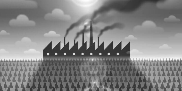 Suriname wants to get paid for protecting its forests, but will it work?