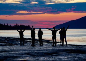 We searched for Hope. Here's what we found.