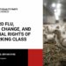 H5N1 Bird flu, climate change, and the social rights of the working class
