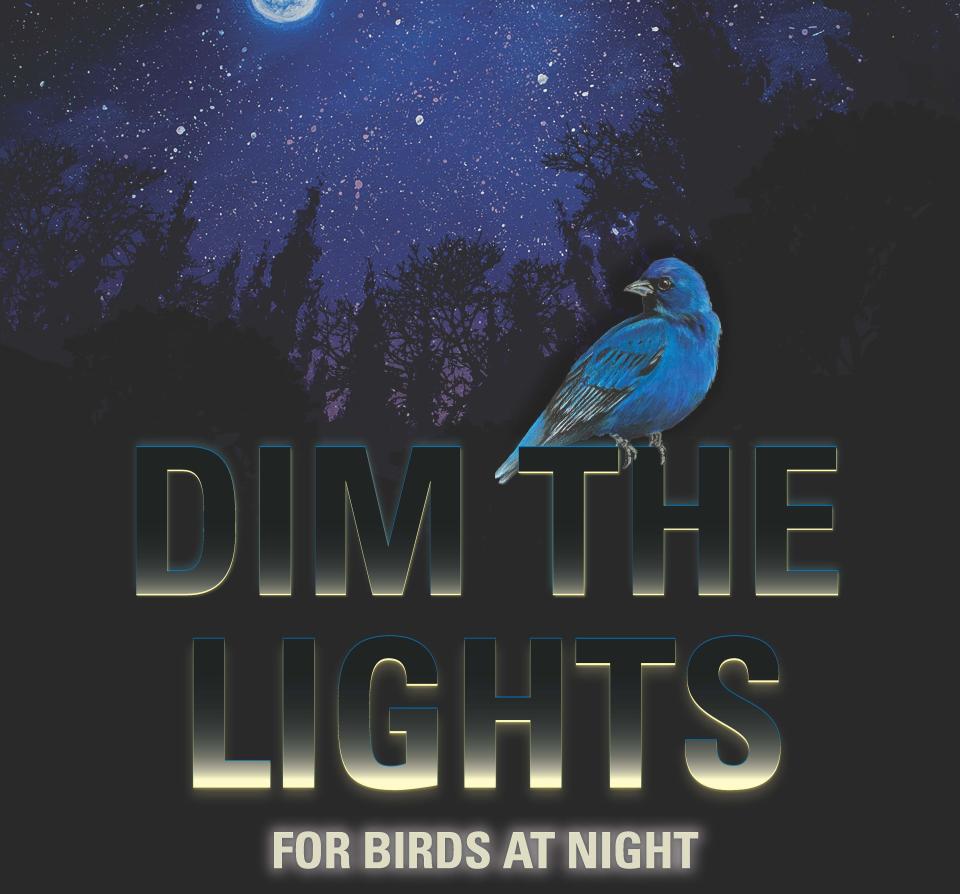 “Dim the Lights” poster.