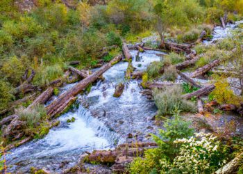 How a landslide in Greenland shook the Earth for 9 days