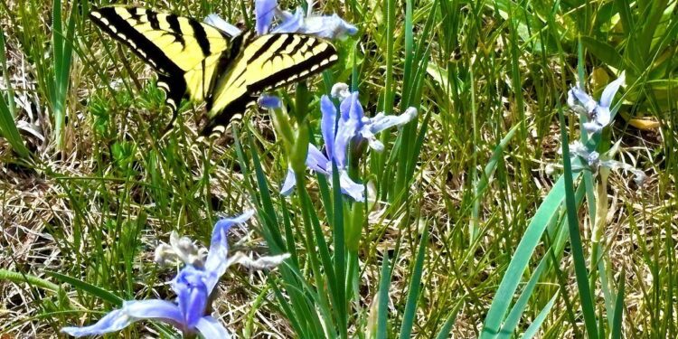 How much money does it take to be happy in Arizona? A lot, study shows