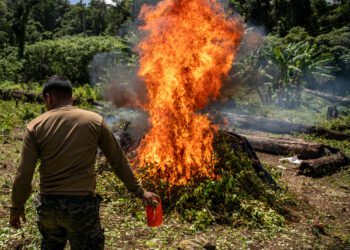 Study finds some countries agriculturally 'ideal'