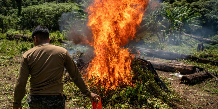 Study finds some countries agriculturally 'ideal'