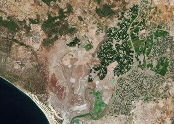 See the first images from Europe's Sentinel-2C satellite