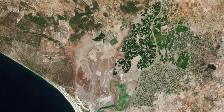 See the first images from Europe's Sentinel-2C satellite