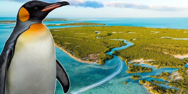 Bucket-list British islands that are NOT in Britain