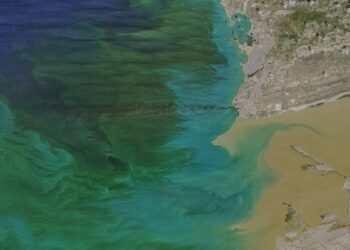 Explainer: Why Venezuela Needs To Reduce Its Gas Flaring