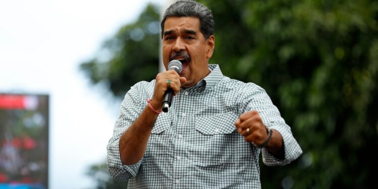 Conservationists persist in Latin America despite political challenges, experts say